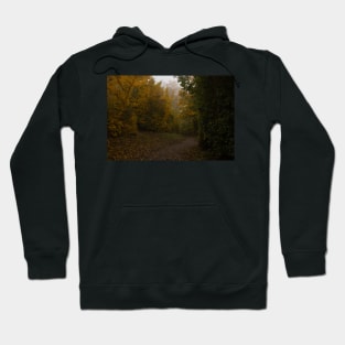 Dark Path through Yellow Leaves Hoodie